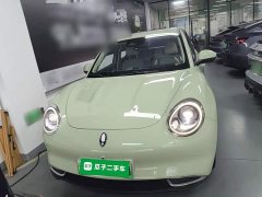ORA Good Cat 401km Standard Range Deluxe LFP - ფოტო 3