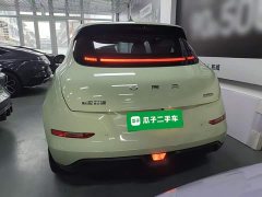 ORA Good Cat 401km Standard Range Deluxe LFP - ფოტო 6