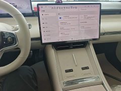 Luxeed Zhiji S7 2024 Pro - ფოტო 13