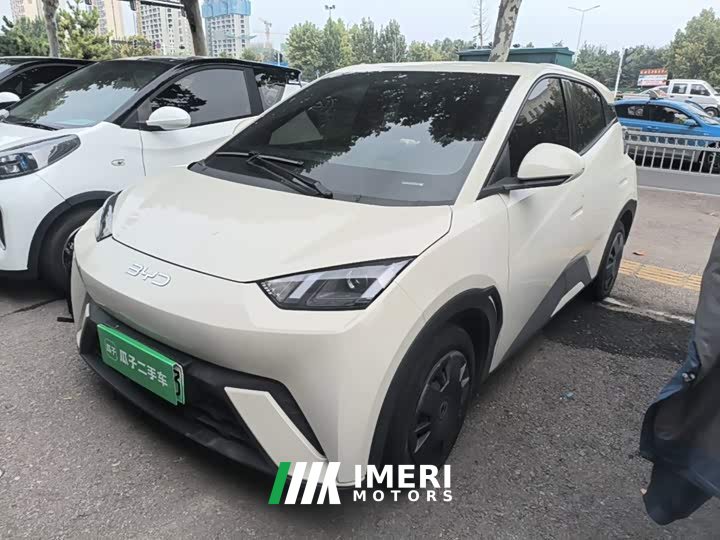 BYD Seagull Glory Edition 305km Vitality Version