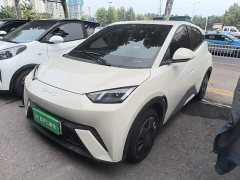 BYD Seagull Glory Edition 305km Vitality Version - ფოტო 1