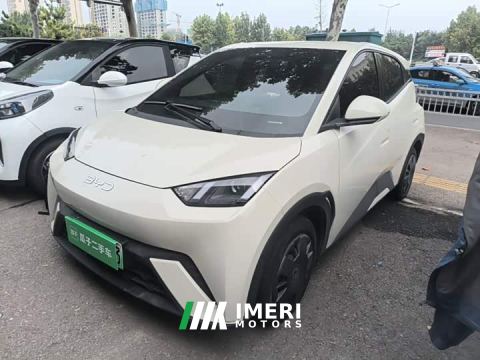 2024 BYD Seagull Glory Edition 305km Vitality Version