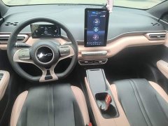 BYD Seagull Glory Edition 305km Vitality Version - ფოტო 10