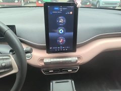 BYD Seagull Glory Edition 305km Vitality Version - ფოტო 13