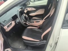 BYD Seagull Glory Edition 305km Vitality Version - ფოტო 15