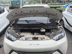 BYD Seagull Glory Edition 305km Vitality Version - ფოტო 20