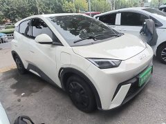 BYD Seagull Glory Edition 305km Vitality Version - ფოტო 4