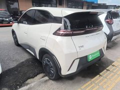 BYD Seagull Glory Edition 305km Vitality Version - ფოტო 5