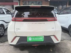 BYD Seagull Glory Edition 305km Vitality Version - ფოტო 6