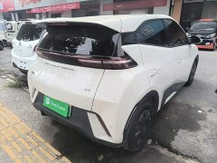 BYD Seagull Glory Edition 305km Vitality Version - ფოტო 7