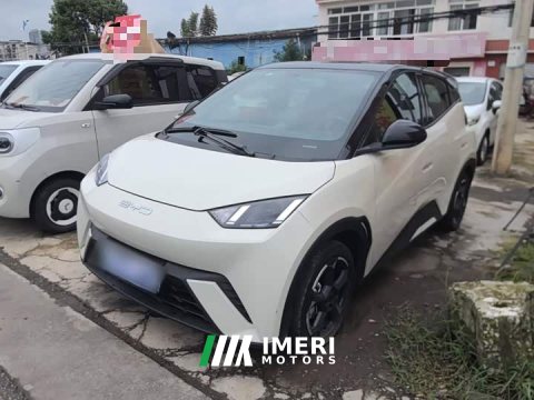 2024 BYD Seagull 2023 Freedom Edition - ავტომობილი ჩინეთიდან