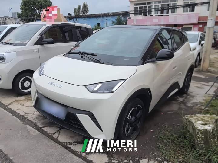 BYD Seagull Freedom Edition