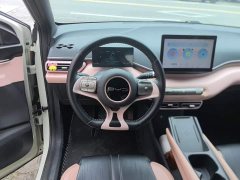 BYD Seagull 2023 Freedom Edition - ფოტო 11