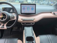 BYD Seagull 2023 Freedom Edition - ფოტო 13