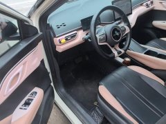BYD Seagull 2023 Freedom Edition - ფოტო 16