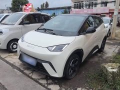BYD Seagull 2023 Freedom Edition - ფოტო 2