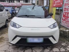 BYD Seagull 2023 Freedom Edition - ფოტო 3