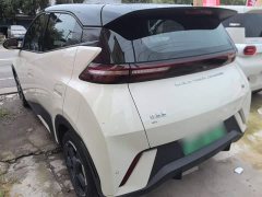BYD Seagull 2023 Freedom Edition - ფოტო 5