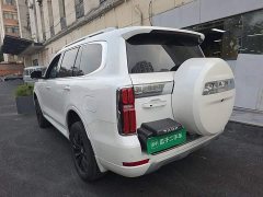 Tank 500 3.0T Sport Landscape Edition 5-Seater - ფოტო 5