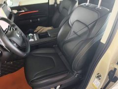 Tank 300 2.0T Gasoline Conqueror - ფოტო 15