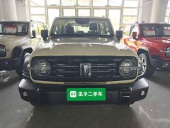 Tank 300 2.0T Gasoline Conqueror - ფოტო 3
