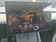 Tesla Model Y Long Range All-Wheel Drive - ფოტო 8