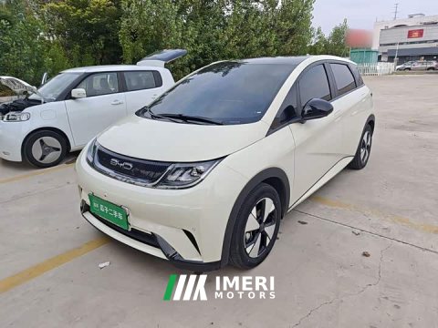 2023 BYD Dolphin 420km Fashion Edition - ავტომობილი ჩინეთიდან