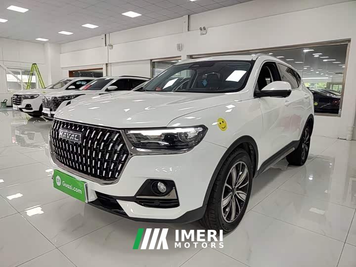 Haval H6 National Trend Edition 1.5T Automatic Champion Version