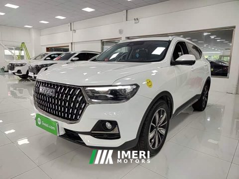 2024 Haval H6 2023 National Trend Edition 1.5T Automatic Champion Version - ავტომობილი ჩინეთიდან