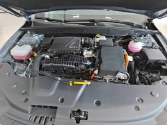 BYD Qin PLUS Glory Edition DM-i 55KM Leading - ფოტო 16