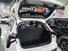Geely Geometry E Firefly 320KM Happy Tiger 5-Seater - ფოტო 19