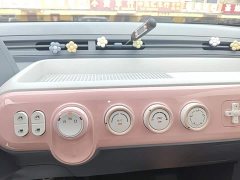 FAW Besturn Xiaoma 170km Yuanqi Ma - ფოტო 13