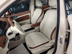 ORA Good Cat 2021 400km Standard Range Venus Edition Ternary Lithium Battery - ფოტო 15