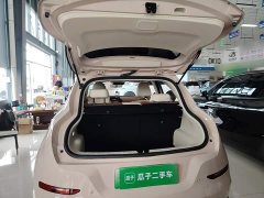 ORA Good Cat 2021 400km Standard Range Venus Edition Ternary Lithium Battery - ფოტო 19