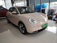 ORA Good Cat 2021 400km Standard Range Venus Edition Ternary Lithium Battery - ფოტო 4