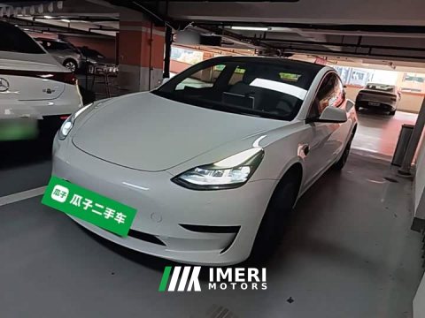 2023 Tesla Model 3 2022 Rear-Wheel Drive - ავტომობილი ჩინეთიდან