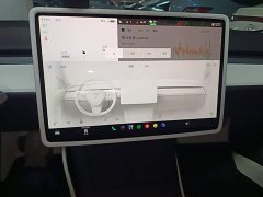 Tesla Model 3 2022 Rear-Wheel Drive - ფოტო 13