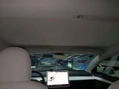 Tesla Model 3 2022 Rear-Wheel Drive - ფოტო 18