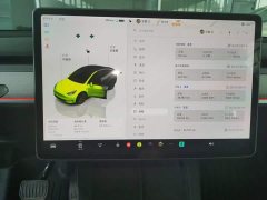 Tesla Model Y Rear-Wheel Drive - ფოტო 12