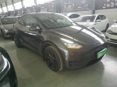 Tesla Model Y Rear-Wheel Drive - ფოტო 4