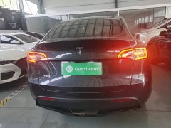 Tesla Model Y Rear-Wheel Drive - ფოტო 6