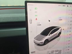 Tesla Model Y L Long Range All-Wheel Drive - ფოტო 14