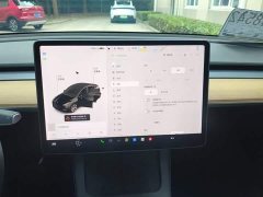 Tesla Model Y Standard Range RWD - ფოტო 13