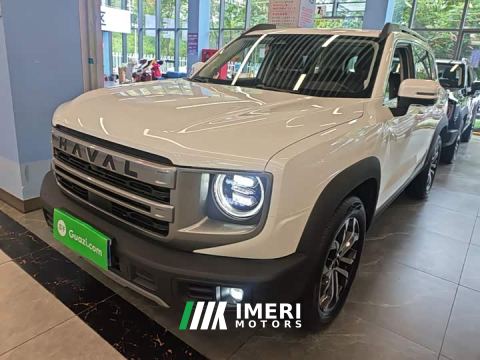 2024 Great Wall Dachshund 1.5T DCT Border Collie Edition - автомобиль из Китая