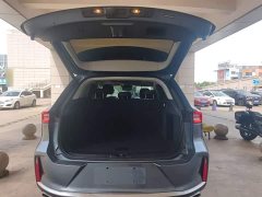 Changan Chitu Lingyun 290T FWD Star Enjoy Edition - ფოტო 19