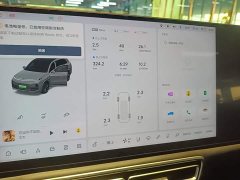 Li Auto L8 Pro - ფოტო 12
