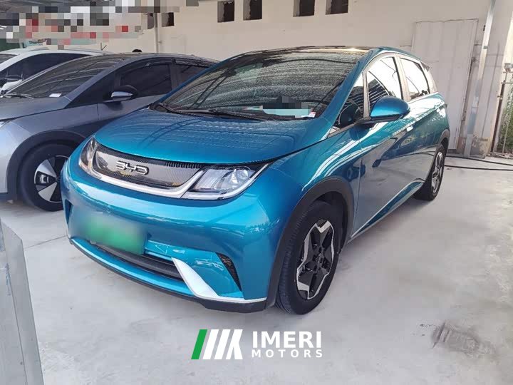 BYD Dolphin 420km Fashion Edition - ავტომობილი ჩინეთიდან