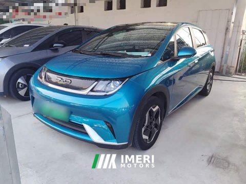 2023 BYD Dolphin 420km Fashion Edition - ავტომობილი ჩინეთიდან