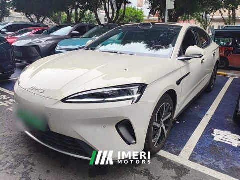 2025 BYD Dolphin 07 DM-i 2026 DM-i 1.5T 230km Flagship - ავტომობილი ჩინეთიდან