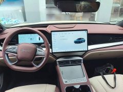BYD Dolphin 07 DM-i 2026 DM-i 1.5T 230km Flagship - ფოტო 10